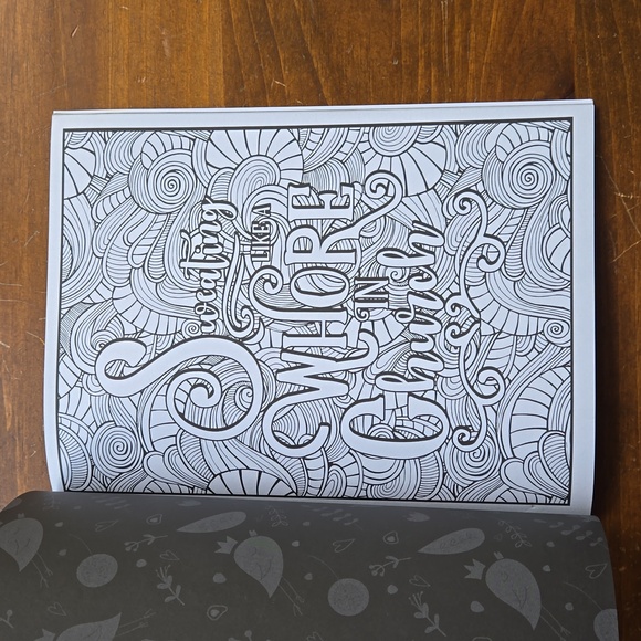 Eat A Bag of D*cks Adult Coloring Book Swear Words Adult Humor - Picture 6 of 12